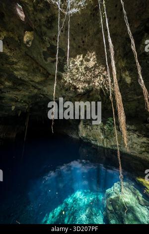 Blick auf Eine wunderschöne Cenote in der Nähe von Cuzama, Yucatan, Mexiko Stockfoto