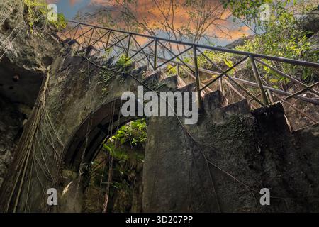 Blick auf Eine wunderschöne Cenote in der Nähe von Cuzama, Yucatan, Mexiko Stockfoto