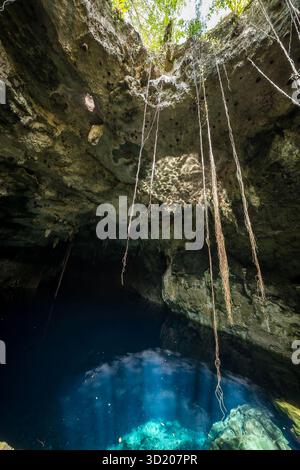 Blick auf Eine wunderschöne Cenote in der Nähe von Cuzama, Yucatan, Mexiko Stockfoto