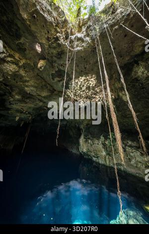 Blick auf Eine wunderschöne Cenote in der Nähe von Cuzama, Yucatan, Mexiko Stockfoto