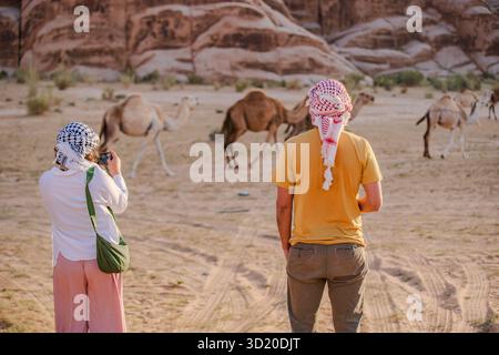 Besucher mit Keffiyeh fotografieren Kamele bei Sonnenuntergang in der Wüste Wadi Rum in Jordanien. Stockfoto