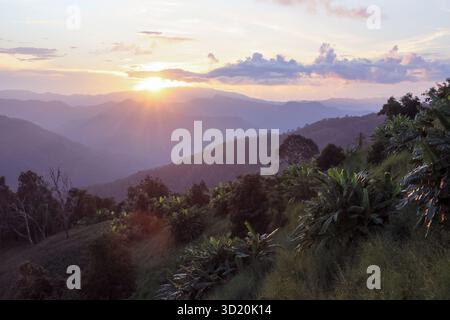 Hochwinkelblick am Abend, Sonnenuntergang, Berggipfel, Bananenbäume Stockfoto