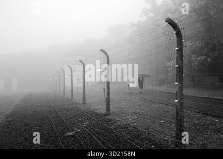 Rekonstruierter Lagerzaun mit Menschen im Nebel im KZ Buchenwald, heute KZ-Gedenkstätte Weimar, T Stockfoto