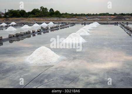 Salzhügel bilden sich in Verdunstungsbecken in der Nähe des asiatischen Dorfes durch natürliche Sonnentrocknung im ländlichen Raum Stockfoto