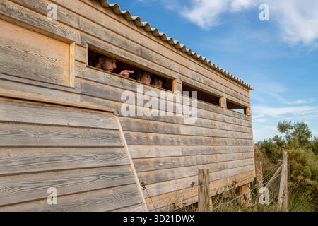 Vogelbeobachtung, Parc Natural S’Albufera de Mallorca, Mallorca, Balearen, Spanien Stockfoto