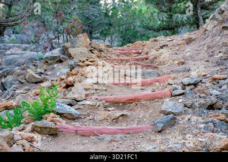 Naherholungsgebiet S'Argentera, Sant Carles de Peralta, Ibiza, Balearen, Spanien Stockfoto