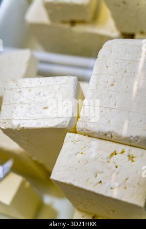 Käse- und Joghurtladen, Frauenmarkt, Sofia, Republik Bulgarien, Europa Stockfoto