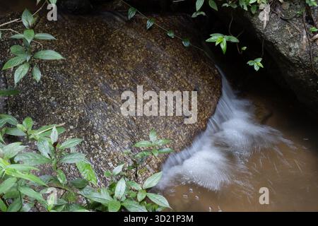 Die Hintergrundstruktur des Wasserfalls, wo der Bach durch die Felsen fließt. Natürliche Wasserquelle in einem perfekten Wald Stockfoto