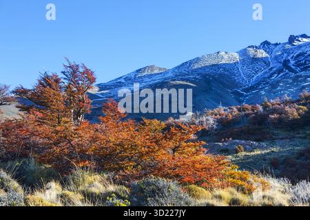 Herbst in Bergen Stockfoto