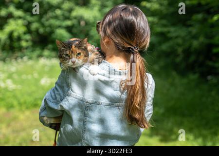 Die aufgeregte, aufgeregte Katze sitzt auf der Schulter der Besitzerin, während sie im Park draußen läuft. Stockfoto