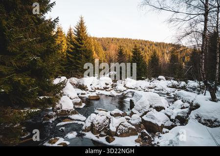 Ein ruhiger Fluss fließt sanft durch die Winterlandschaft, umgeben von schneebedeckten Felsen und immergrünen Bäumen. Die kalte, eisige Szene fängt die Ruhe des Winters in Tschechien ein. Stockfoto