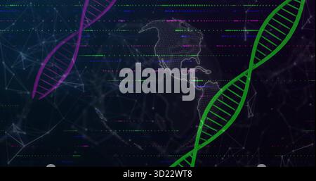 Anzeige des digitalen Globus mit Nord- und Südamerika-Umriss im Datennetzwerk mit magentafrünen DNA-Helices Stockfoto