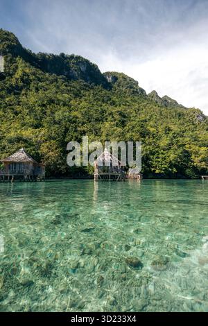 Überwasser-Bungalows an einem üppig grünen Wald auf einem klaren türkisfarbenen Meer unter blauem Himmel. Saleman Village, Seram Island, Maluku, Indonesien Stockfoto