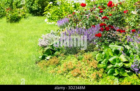 Bunte Frühlingsblumen wachsen in einem Blumenbeet in einem wunderschönen Garten. Ein wunderschöner Frühlingsgarten mit lebhaften Blumen. Stockfoto
