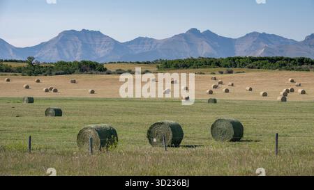 Eine malerische Landschaft mit Heuballen auf offenen Feldern mit Bergen im Hintergrund. Waterton Park, Alberta, Kanada Stockfoto