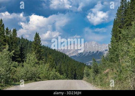 Eine Schotterstraße schlängelt sich durch üppige Wälder mit Bergen und blauem Himmel im Hintergrund. Waterton Lakes National Park, Alberta, Kanada Stockfoto