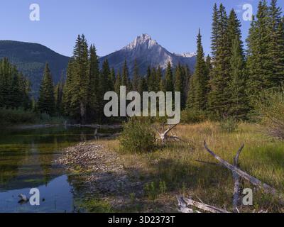 Berggipfel, eingerahmt von dichtem Kiefernwald und ruhigem reflektierendem Wasser in ruhiger Landschaft. Kananaskis, Alberta, Kanada Stockfoto