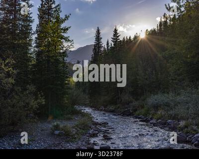 Sonnenstrahl filtert durch hohe Bäume entlang eines sanft fließenden Flusses in einer ruhigen Waldlandschaft. Kananaskis, Alberta, Kanada Stockfoto