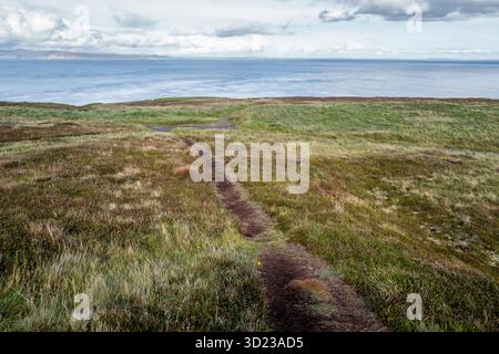 Ein schmaler Feldweg schlängelt sich durch eine weite grasbewachsene Landschaft mit Blick auf das Meer unter einem bewölkten Himmel. Dunnet Head, Schottland Stockfoto