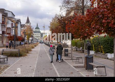 Die Leute laufen entlang einer Fußgängerzone im Herbst, die von goldenen Bäumen und gemütlichen Cafés gesäumt ist. Gefallene Blätter rascheln unter den Füßen, während warmes Licht auf SH reflektiert wird Stockfoto