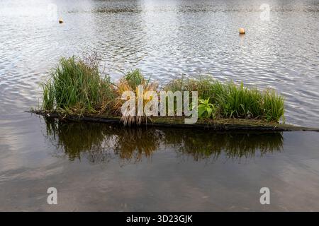 Eine kleine grasbewachsene Insel erhebt sich sanft aus dem ruhigen Seewasser, umgeben von sanften Wellen und Reflexen des Himmels. Die friedliche Szene fühlt sich unberührt an Stockfoto