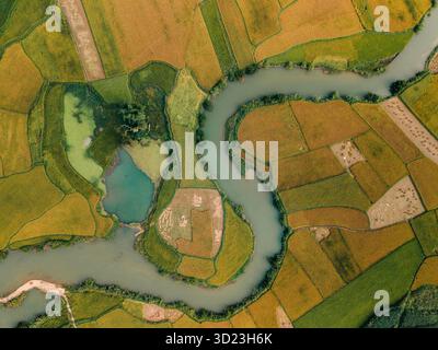 Aus der Vogelperspektive eines sich windenden Flusses, der durch Patchworkfelder mit verschiedenen Grün- und Brauntönen verläuft. Phong Nam, TR˘ng KH·nh District, Cao Bang, Vietnam Stockfoto