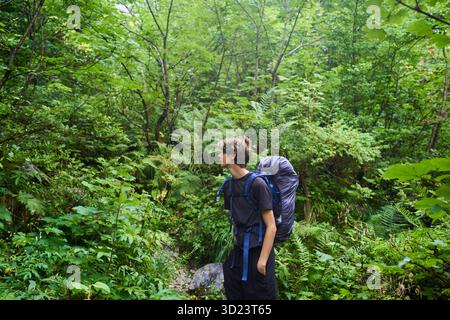 Junger Mann, der mit einem Rucksack durch üppige grüne Wälder wandert, umgeben von dichtem Laub. Salzkammergut, Dachsteingebirge, Österreich Stockfoto
