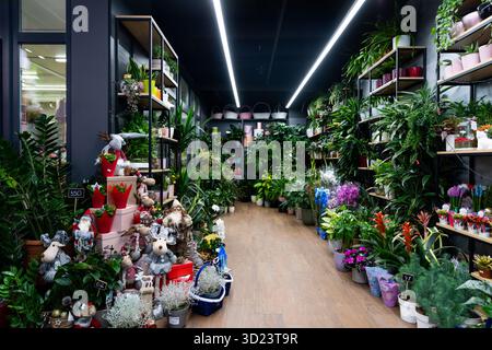 Minsk, Weißrussland - 20. Dez 2021: Floristen-Shop-Interieur mit natürlichen Topfpflanzen und Neujahrsfiguren im Vordergrund Stockfoto