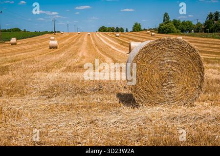 Ein großer runder Heuballen sitzt auf einem goldenen Feld. Stockfoto