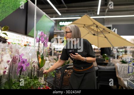 Tagsüber können Sie Orchideen in einem Gartencenter kaufen Stockfoto