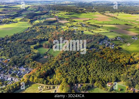 Luftaufnahme, Tiergehege und Pilgerweg Elten-Emmerich, Wiesen und Wald in Herbstfarben, Eichenallee, Huethum, Emmerich am Rhein, untere R Stockfoto