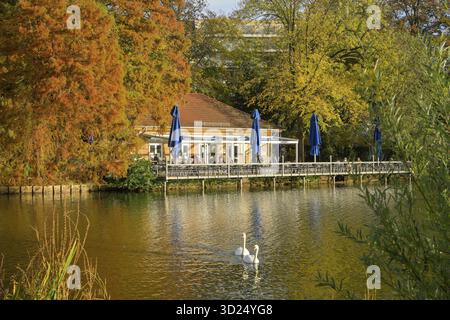 Herbst am Lietzensee, Boathouse Stella, Charlottenburg, Berlin, Deutschland Stockfoto