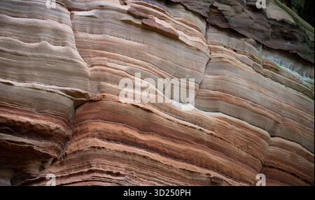 Altschlossfelsen, Nahaufnahme der Gesteinsstruktur, Eppenbrunn, Rheinland-Pfalz, Deutschland Stockfoto