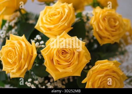 Nahaufnahme eines leuchtenden gelben Rosenstraußes mit weißem Babyatem. Hintergrundbanner für besondere Anlässe mit Kopierbereich. Stockfoto