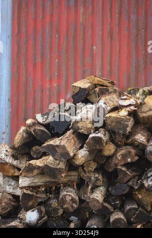 Gestapeltes Holz vor Metallwand Stockfoto