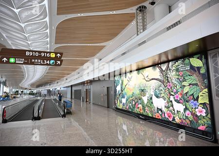 (251030) -- GUANGZHOU, 30. Oktober 2025 (Xinhua) -- dieses Foto vom 30. Oktober 2025 zeigt eine Innenansicht des Flughafens Guangzhou Baiyun International Airport Terminal 3 in Guangzhou, südchinesischer Provinz Guangdong. Der Flughafen Baiyun in Guangzhou, der Hauptstadt der südchinesischen Provinz Guangdong, hat am Donnerstag sein Terminal 3 und die fünfte Start- und Landebahn offiziell in Betrieb genommen und ist damit Chinas erster ziviler Flughafen, der fünf kommerzielle Start- und Landebahnen betreibt. Der Ausbau des internationalen Flughafens Guangzhou Baiyun, eines der drei wichtigsten internationalen Luftverkehrsknotenpunkte des Landes, ist ein weiterer Schritt zum Aufbau eines World-cl Stockfoto