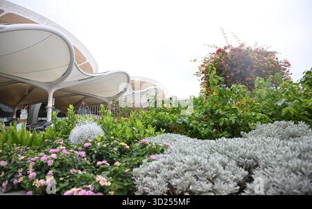 (251030) -- GUANGZHOU, 30. Oktober 2025 (Xinhua) -- dieses am 24. Oktober 2025 aufgenommene Foto zeigt eine Außenansicht des Internationalen Flughafens Guangzhou Baiyun Terminal 3 in Guangzhou, südchinesischer Provinz Guangdong. Der Flughafen Baiyun in Guangzhou, der Hauptstadt der südchinesischen Provinz Guangdong, hat am Donnerstag sein Terminal 3 und die fünfte Start- und Landebahn offiziell in Betrieb genommen und ist damit Chinas erster ziviler Flughafen, der fünf kommerzielle Start- und Landebahnen betreibt. Der Ausbau des internationalen Flughafens Guangzhou Baiyun, eines der drei wichtigsten internationalen Luftverkehrsknotenpunkte des Landes, ist ein weiterer Schritt zum Aufbau eines World-cl Stockfoto