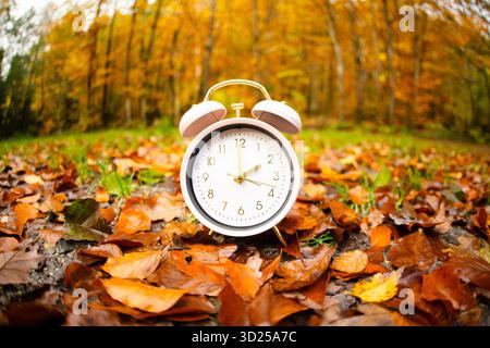 Ende der Sommerzeit im Herbst, Wecker-Rückfallschalter, Winterumstellung, Wald mit bunten Laub Stockfoto