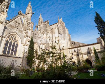 Kathedrale Saint-Pierre de Saintes, Blick von der Südseite, vom Klostergarten. Stockfoto
