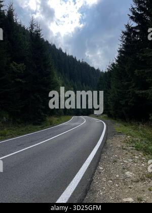 Leere Bergstraße, die sich durch dichten immergrünen Wald unter bewölktem Himmel kurvt. Landschaftlich reizvolle Route in der Wildnis. Stockfoto