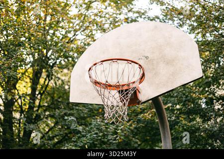 Ein Basketballkorb mit Netz befindet sich in einem Park, umgeben von üppig grünen Bäumen an einem klaren, sonnigen Nachmittag. Stockfoto