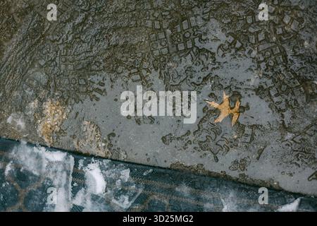 Der regengetränkte Straßenbelag verfügt über ein einzelnes gefallenes Blatt und verschiedene Reifenspuren, die eine ruhige Herbstszene schaffen. Stockfoto