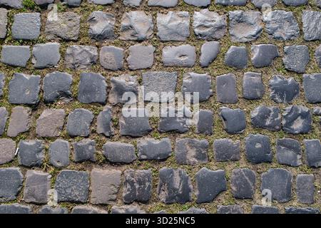 Nahaufnahme des alten Kopfsteinpflasterpflasters mit Flecken von grünem Moos zwischen den Steinen Stockfoto