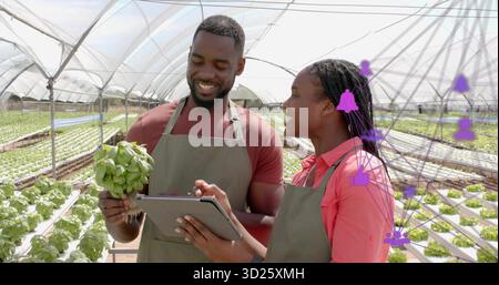 Gewächshausarbeiter arbeiten zusammen und ernten Salat in hydroponischen Tiefen mit Tablettendaten Stockfoto