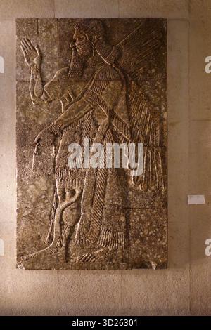 9. Jahrhundert v. Chr. Relief eines assyrischen geflügelten Dschinns aus der Regierungszeit von König Aschurnasirpal II. Im Calouste Gulbenkian Museum in Lissabon, Portugal Stockfoto