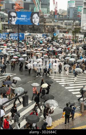 Tokio, Shibuya, Japan: Die Shibuya Street überquert eine der Sehenswürdigkeiten Tokios. Tausende überqueren die Straße aus verschiedenen Richtungen Stockfoto