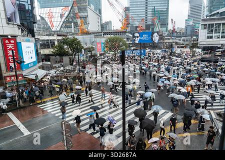 Tokio, Shibuya, Japan: Die Shibuya Street überquert eine der Sehenswürdigkeiten Tokios. Tausende überqueren die Straße aus verschiedenen Richtungen Stockfoto