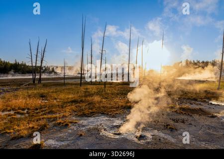 Sonnenaufgang über dem Norris Geyser Basin, Yellowstone National Park, Wyoming, USA, mit Dampf aus farbenfrohen geothermischen Pools Stockfoto