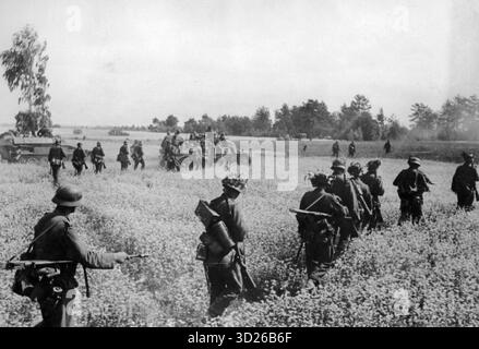 RUSSLAND - August 1941 - Deutsche Infanterie und Panzereinheiten dringen während der Invasion im Sommer 1941 während des Zweiten Weltkriegs durch Rapsfelder an der Ostfront irgendwo in Russland vor. Zu den Soldaten gehören ein Panzerwagen SdKfz 251, ein Panzer PzKpfw II (Mitte) und ein Soldat mit Panzerbuchse PZB 39 (links) - Foto: Geopix/Fritz Meyer Stockfoto