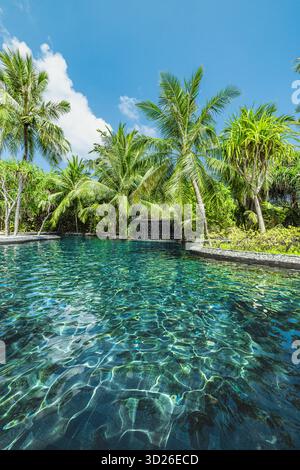 Luxuriöses tropisches Resort Pool mit Wasserfall, Palmen, exotischer Gartenlandschaft, ruhiges Urlaubsparadies Stockfoto